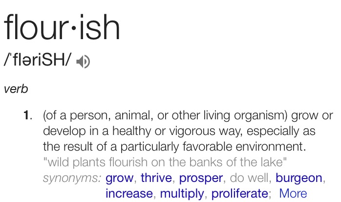 Flourish (Definition)